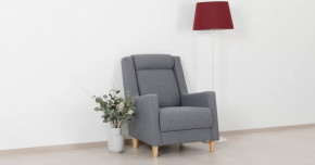 Дилан Кресло для отдыха арт. ТК 423 в Когалыме - kogalym.mebel-tymen.ru | фото