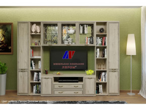 Гостиная Карина набор 25 в Когалыме - kogalym.mebel-tymen.ru | фото