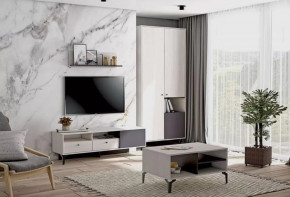 Гостиная Лион №3 Ясень анкор светлый/Графит Диал в Когалыме - kogalym.mebel-tymen.ru | фото