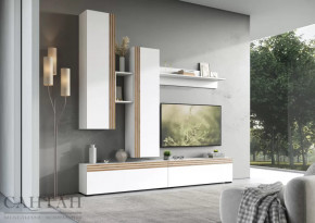 Гостиная НАО-Моно №1 в Когалыме - kogalym.mebel-tymen.ru | фото