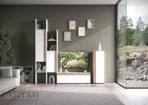 Гостиная НАО-Моно №3 в Когалыме - kogalym.mebel-tymen.ru | фото