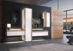 Гостиная НАО-Моно №7 в Когалыме - kogalym.mebel-tymen.ru | фото