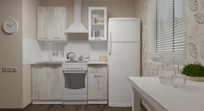 Кухонный гарнитур Алина мини 1000 мм в Когалыме - kogalym.mebel-tymen.ru | фото