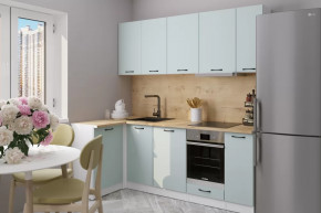 Кухонный гарнитур Лиора прайм 400 1100х2000 мм в Когалыме - kogalym.mebel-tymen.ru | фото