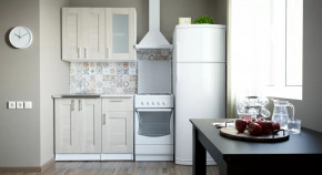 Кухонный гарнитур Лира мини 1000 мм в Когалыме - kogalym.mebel-tymen.ru | фото