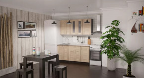 Кухонный гарнитур Ника стандарт 1600 мм в Когалыме - kogalym.mebel-tymen.ru | фото