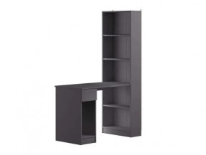 Лайт Шкаф комбинированный 10.01 (Темно-серый) в Когалыме - kogalym.mebel-tymen.ru | фото