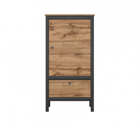 LOFT шкаф REG1D1S/60 (Дуб вотан/Черный) в Когалыме - kogalym.mebel-tymen.ru | фото