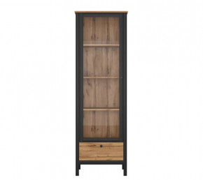 LOFT шкаф REG1W1S (Дуб вотан/Черный) в Когалыме - kogalym.mebel-tymen.ru | фото