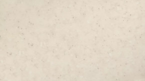 Панель пристенная 6х600х720 в Когалыме - kogalym.mebel-tymen.ru | фото