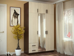 Шкаф 3-х створчатый с перегородкой венге/лоредо БТС в Когалыме - kogalym.mebel-tymen.ru | фото