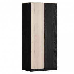 Шкаф двухстворчатый для одежды Дельта Лофт 13.02 в Когалыме - kogalym.mebel-tymen.ru | фото