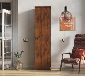 Шкаф JREG 1d Дуб саттер ИНДИАНА в Когалыме - kogalym.mebel-tymen.ru | фото
