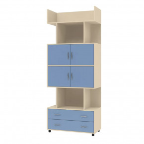 Шкаф комбинированный Дельта-5.03 в Когалыме - kogalym.mebel-tymen.ru | фото