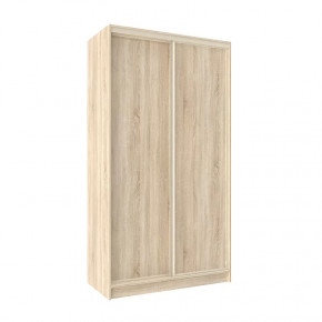 Шкаф-купе 1200 Домашний лдсп/лдсп в Когалыме - kogalym.mebel-tymen.ru | фото