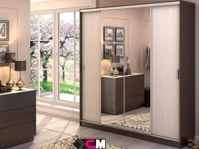 Шкаф-купе Альянс 2000 в Когалыме - kogalym.mebel-tymen.ru | фото