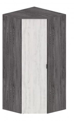 Шкаф Шаде ШК-2910 в Когалыме - kogalym.mebel-tymen.ru | фото