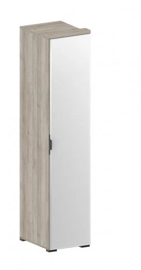 Шкаф Шаде ШК-2912 в Когалыме - kogalym.mebel-tymen.ru | фото