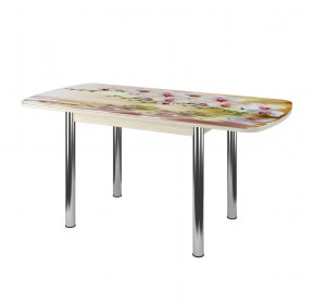 Стол Бостон-3 раздвижной, фотопечать Орхидея на воде/венге/хром брифинг в Когалыме - kogalym.mebel-tymen.ru | фото