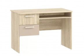 Стол для компьютера НМ 009.19-05 М2 Акварель в Когалыме - kogalym.mebel-tymen.ru | фото