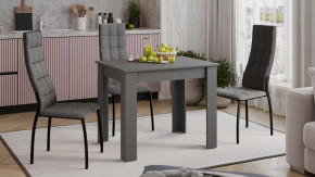 Стол обеденный «Промо» тип 1 Серый графит в Когалыме - kogalym.mebel-tymen.ru | фото