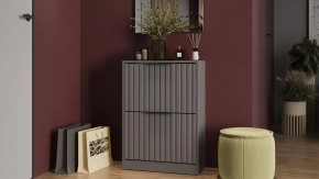 Тумба для обуви «Хилтон» Исп.2 Серый графит, Графит матовый в Когалыме - kogalym.mebel-tymen.ru | фото