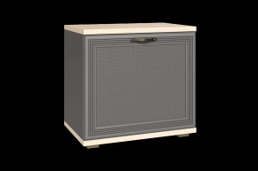 Тумба для обуви ТБ-1042 Карина в Когалыме - kogalym.mebel-tymen.ru | фото