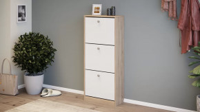 Тумба для обуви «Тетра» Тип 1 Исп. 2 в Когалыме - kogalym.mebel-tymen.ru | фото